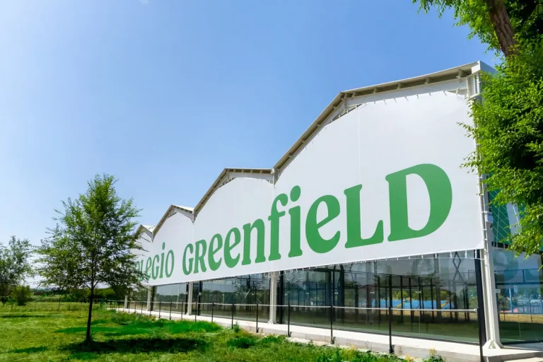 Exterior de pistas de Pádel con Logo de Colegio Greenfield